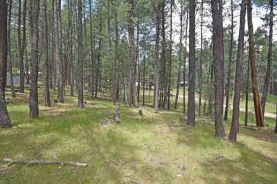 Residential Land For Sale in Jemez Springs, New Mexico