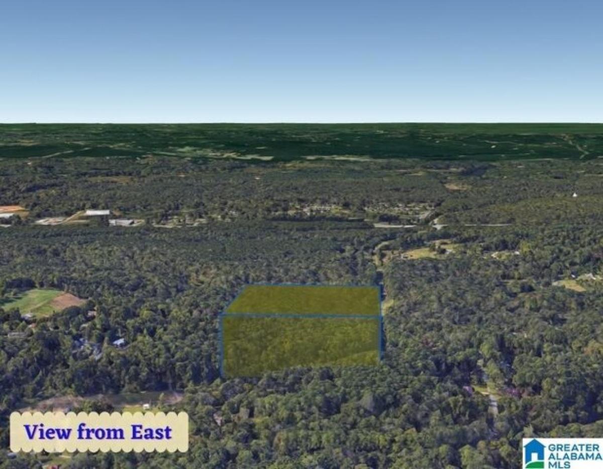 Picture of Residential Land For Sale in Birmingham, Alabama, United States