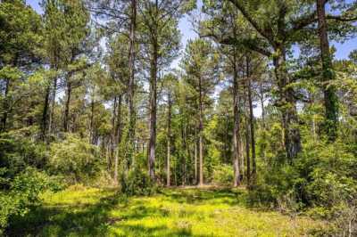 Residential Land For Sale in Ellisville, Mississippi