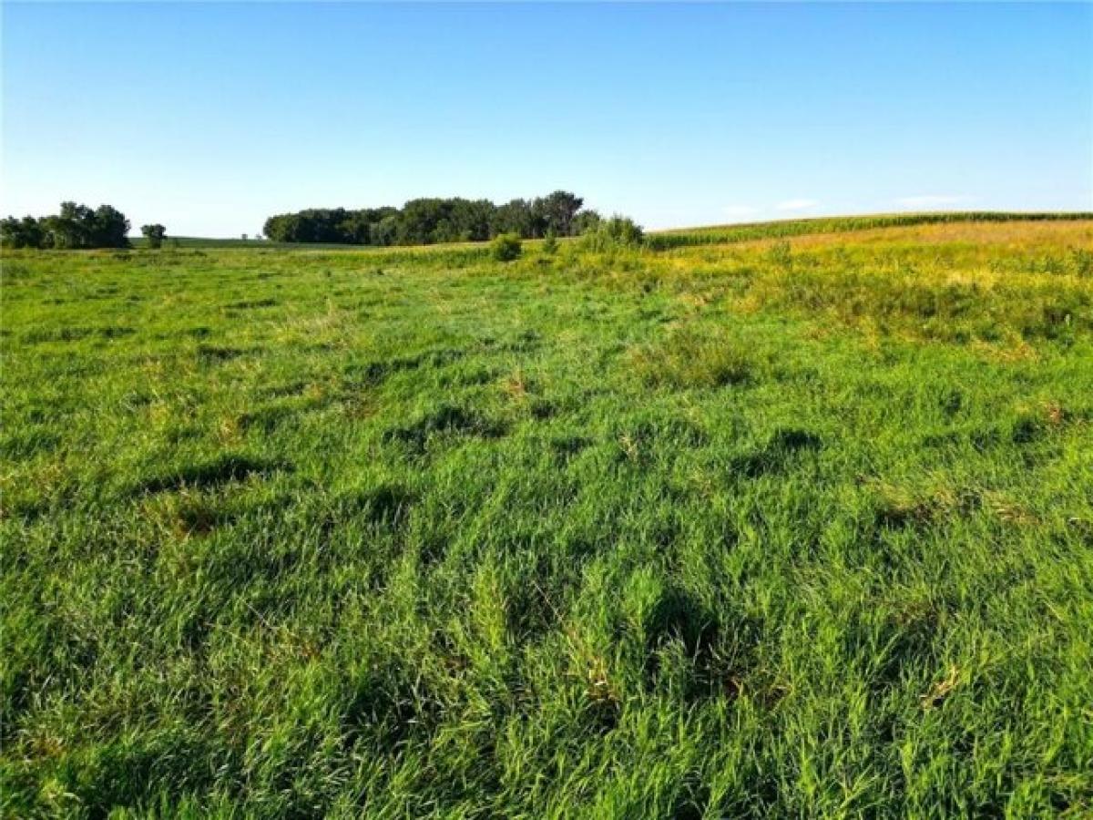 Picture of Residential Land For Sale in Hutchinson, Minnesota, United States