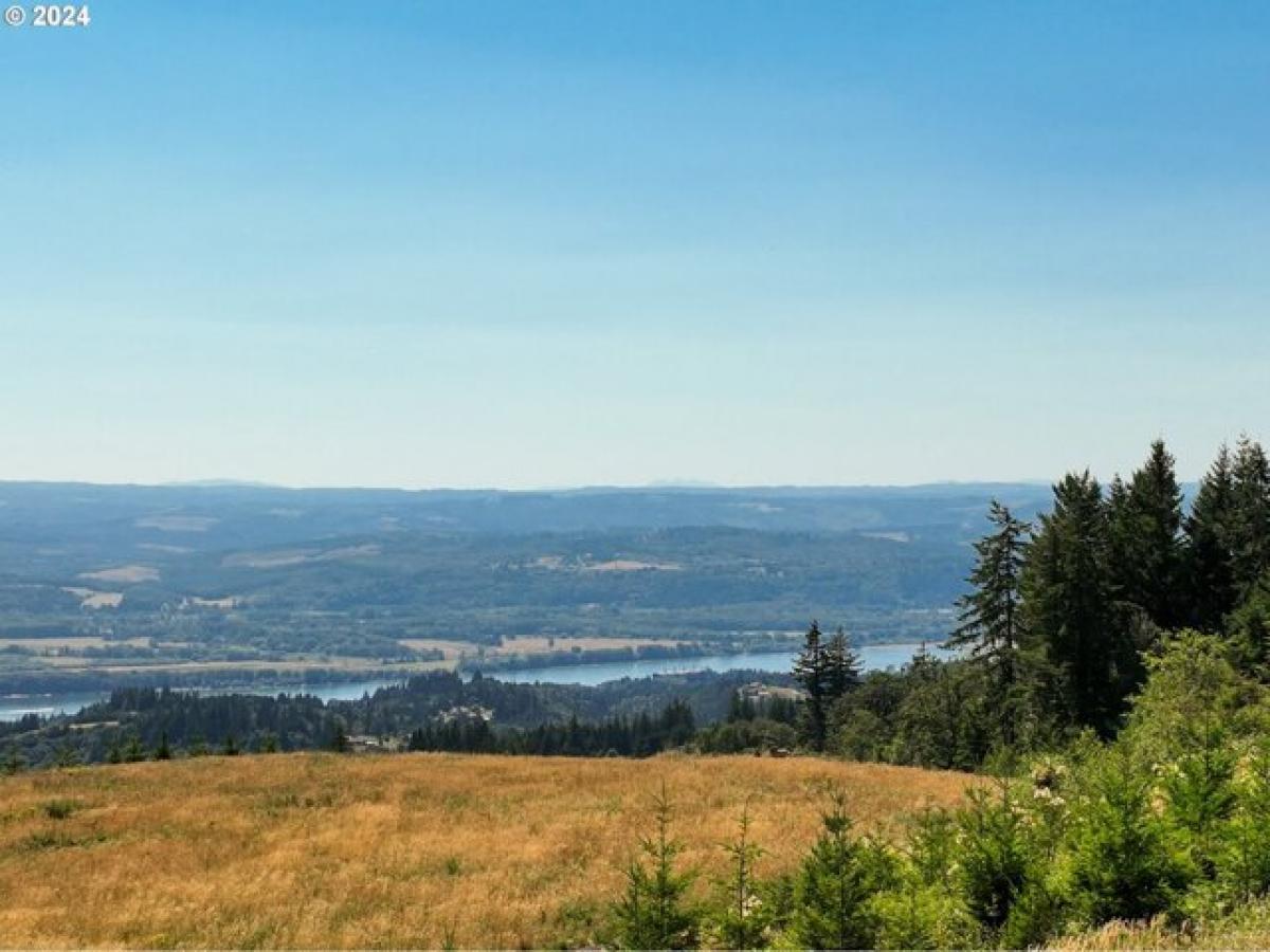 Picture of Residential Land For Sale in Kalama, Washington, United States