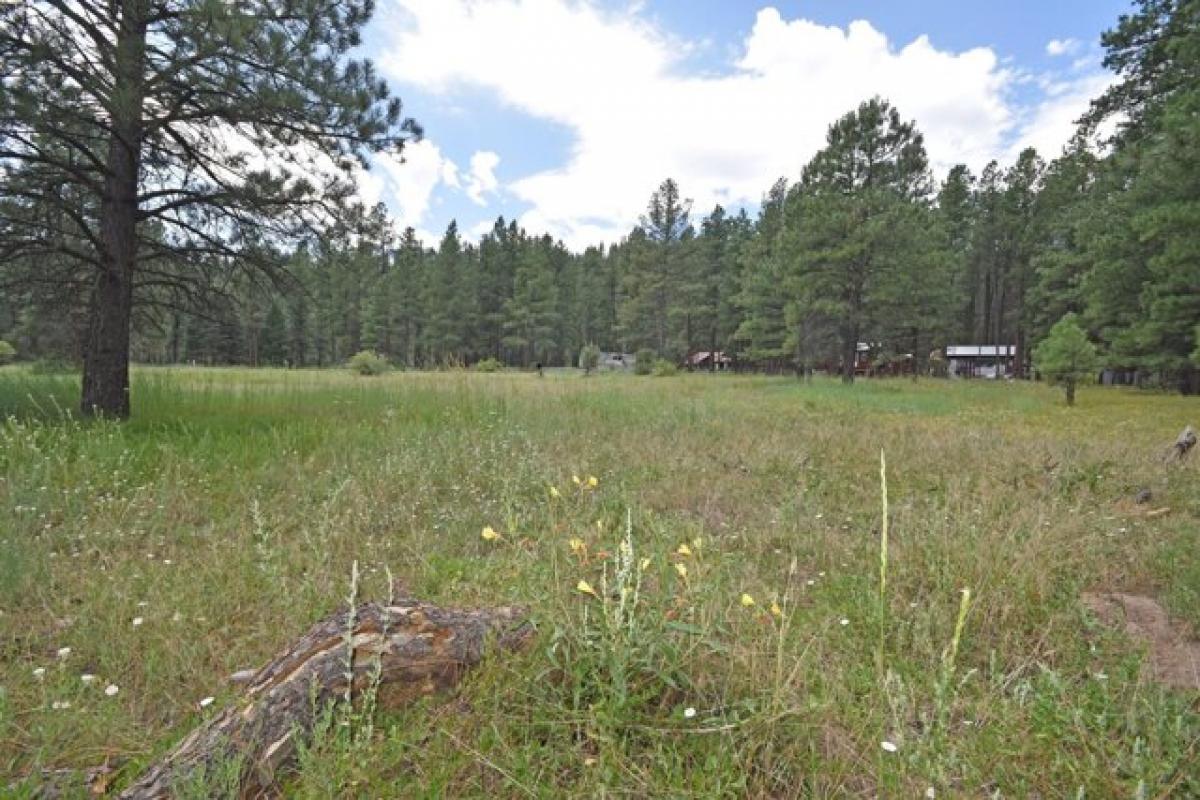 Picture of Residential Land For Sale in Jemez Springs, New Mexico, United States