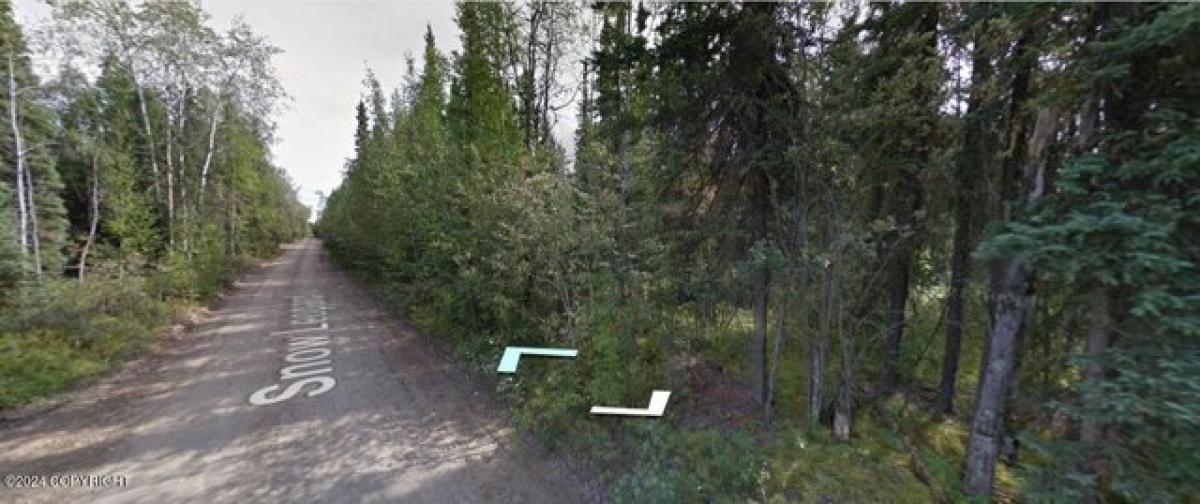 Picture of Residential Land For Sale in Fairbanks, Alaska, United States