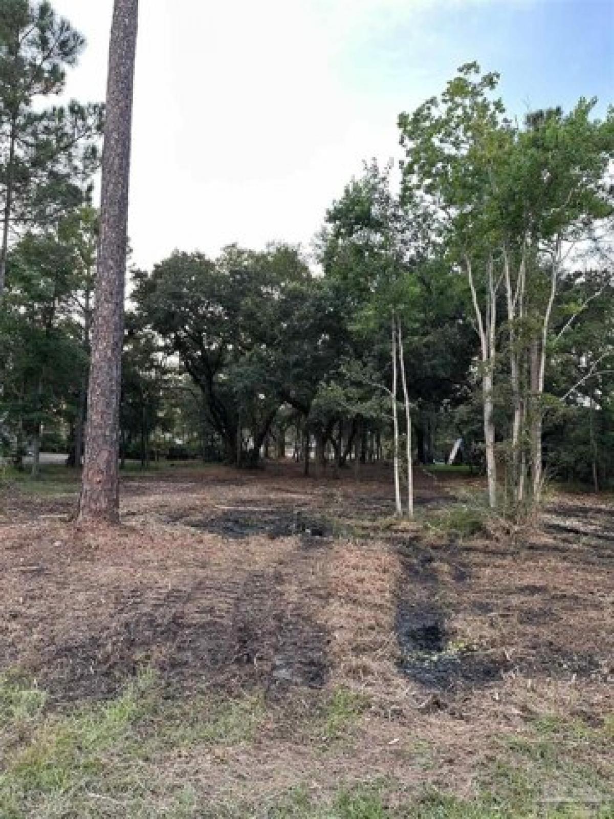 Picture of Residential Land For Sale in Milton, Florida, United States