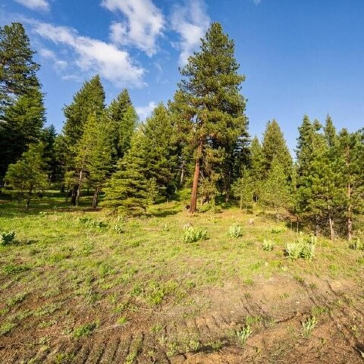 Picture of Residential Land For Sale in McCall, Idaho, United States