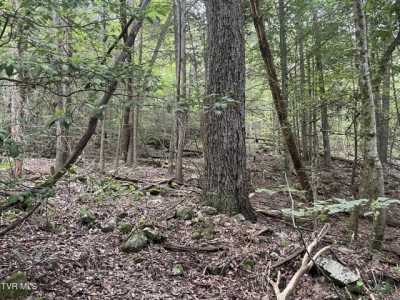 Residential Land For Sale in Elizabethton, Tennessee