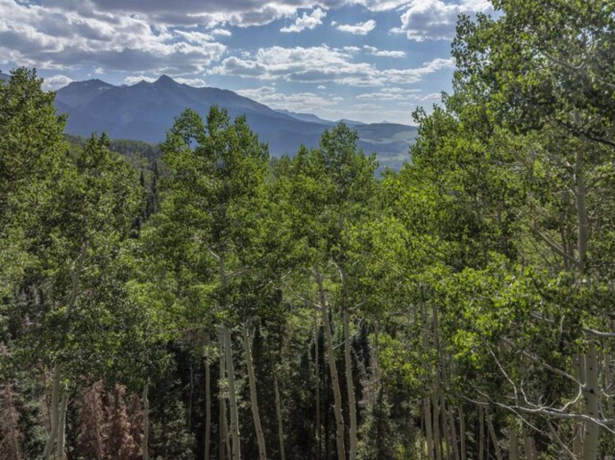 Picture of Residential Land For Sale in Telluride, Colorado, United States