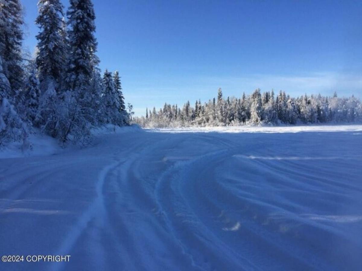 Picture of Residential Land For Sale in Willow, Alaska, United States