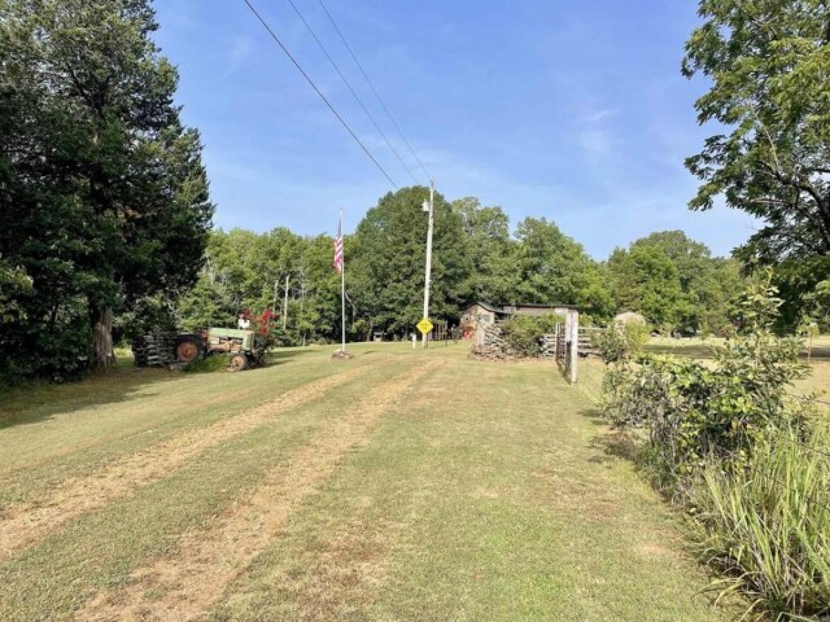 Picture of Residential Land For Sale in Clarksville, Arkansas, United States