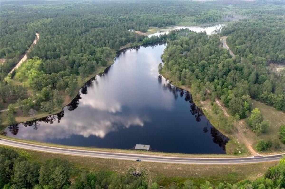 Picture of Residential Land For Sale in Butler, Georgia, United States