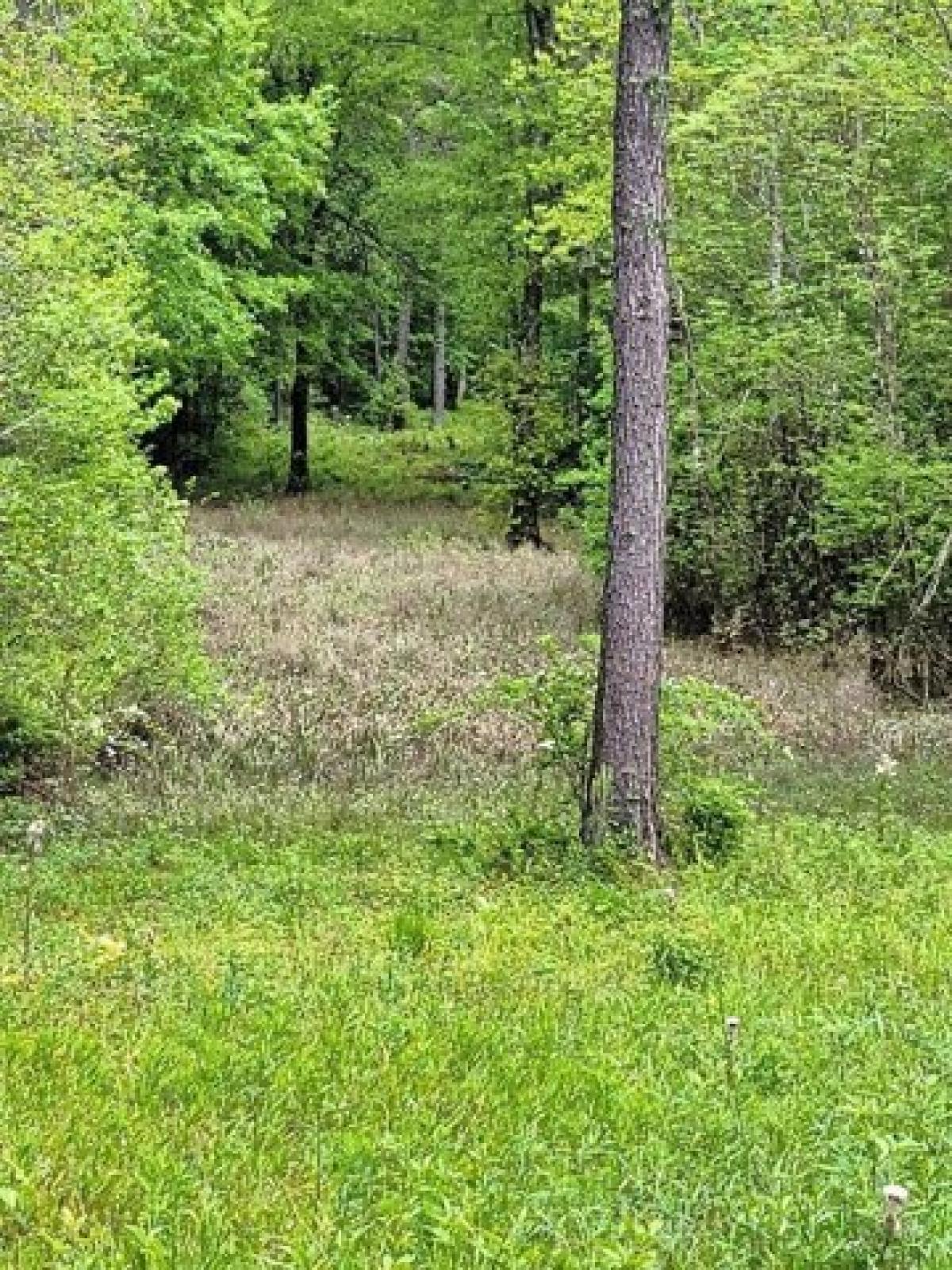 Picture of Residential Land For Sale in Ponchatoula, Louisiana, United States