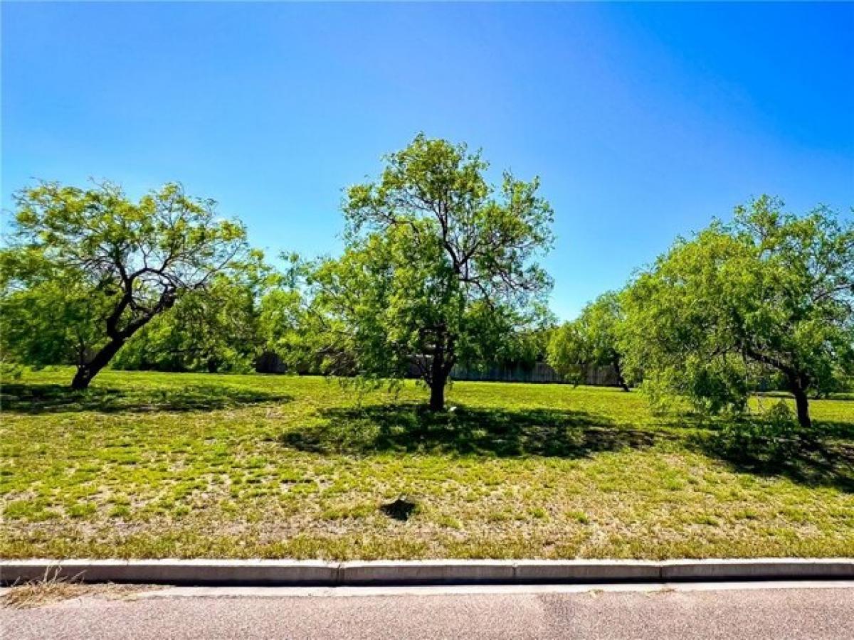 Picture of Residential Land For Sale in Kingsville, Texas, United States