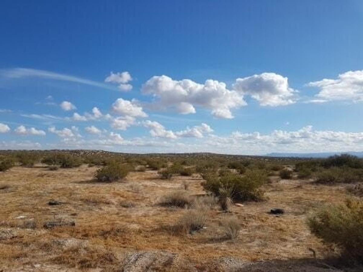 Picture of Residential Land For Sale in Horizon City, Texas, United States