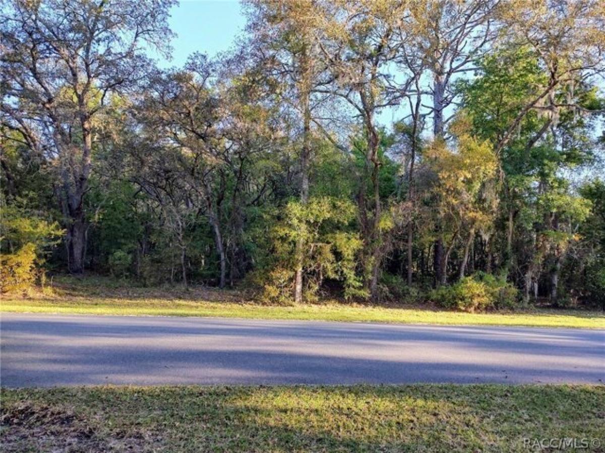 Picture of Residential Land For Sale in Hernando, Florida, United States