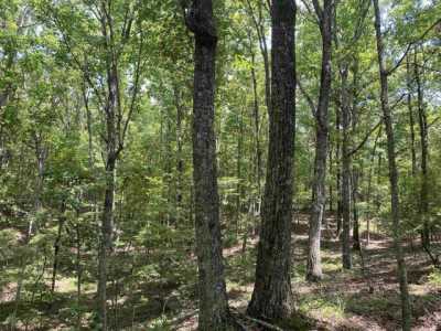 Residential Land For Sale in Savannah, Tennessee