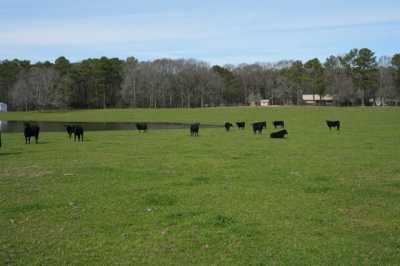 Residential Land For Sale in Bogue Chitto, Mississippi