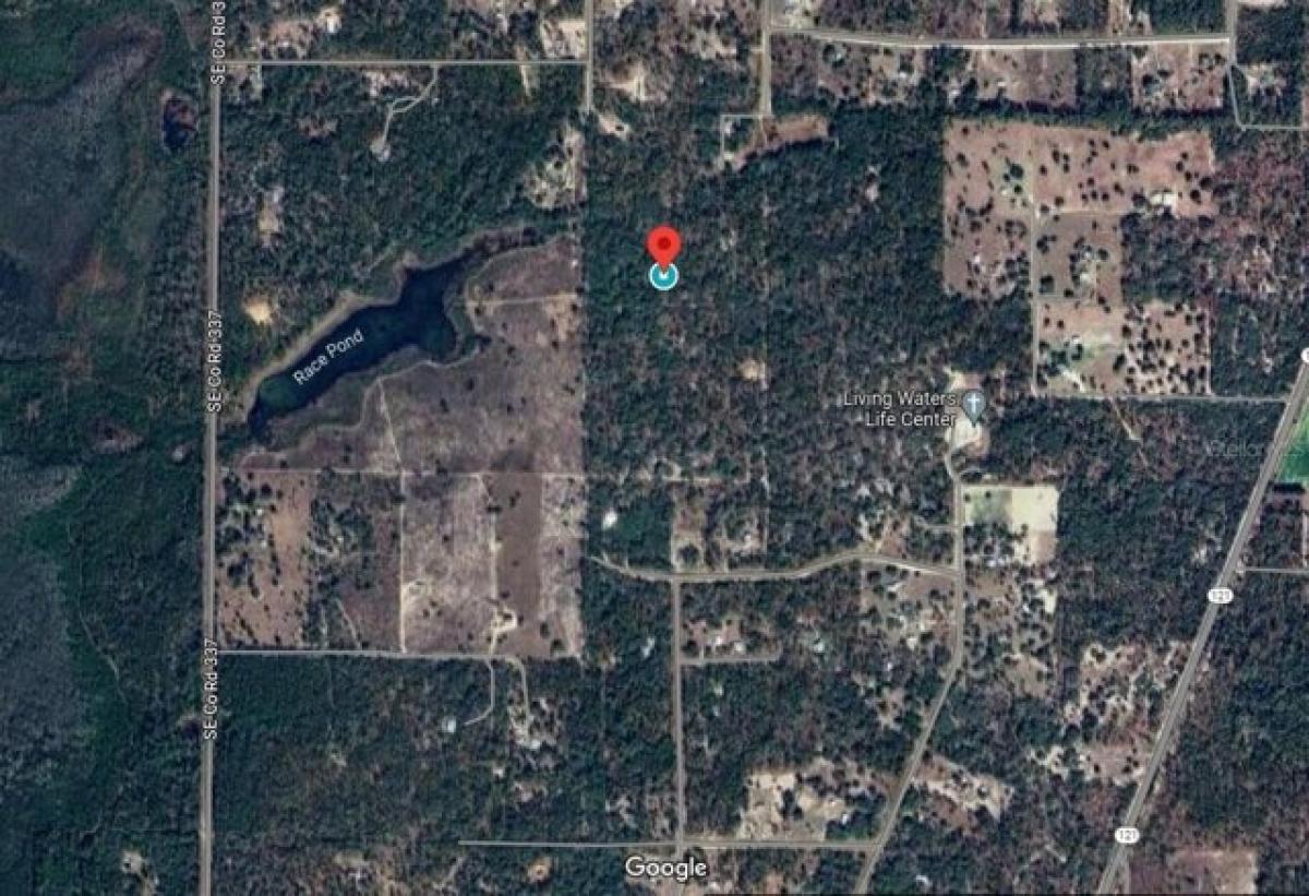 Picture of Residential Land For Sale in Morriston, Florida, United States