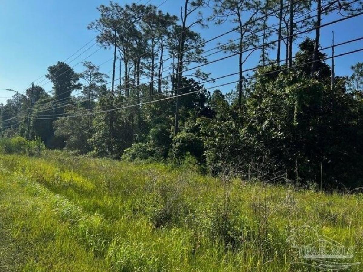 Picture of Residential Land For Sale in Navarre, Florida, United States