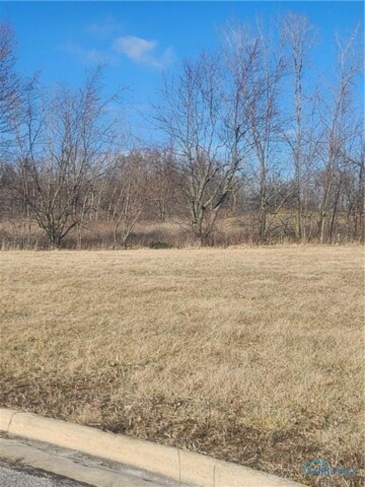 Picture of Residential Land For Sale in Fostoria, Ohio, United States