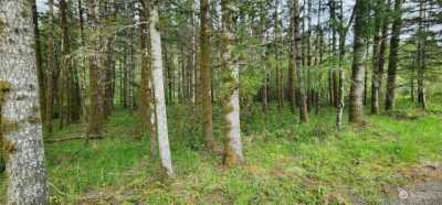 Residential Land For Sale in Shelton, Washington