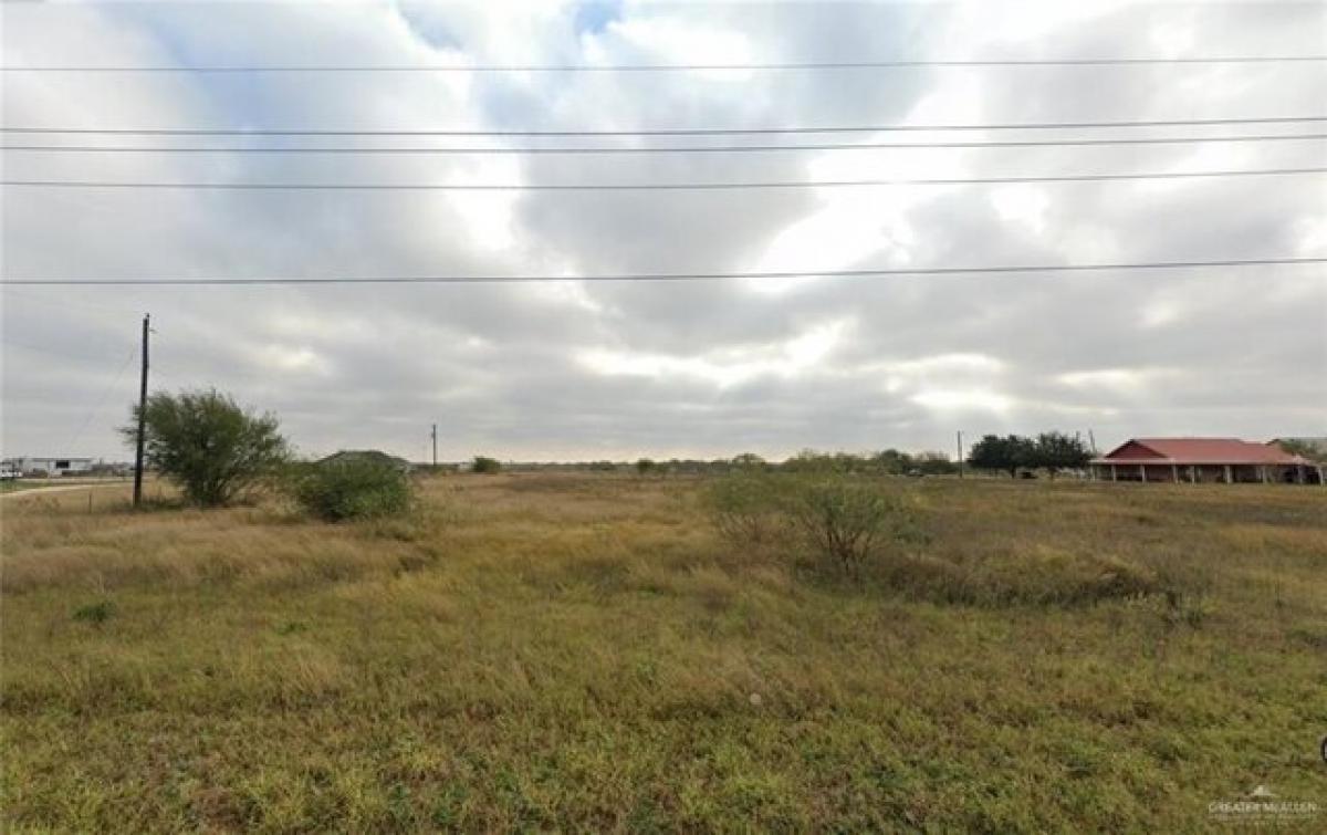 Picture of Residential Land For Sale in Monte Alto, Texas, United States