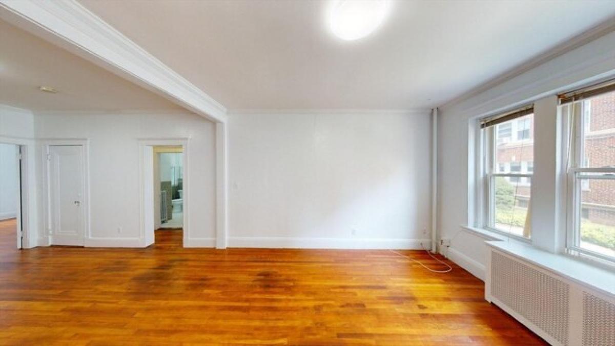 Picture of Apartment For Rent in Brookline, Massachusetts, United States