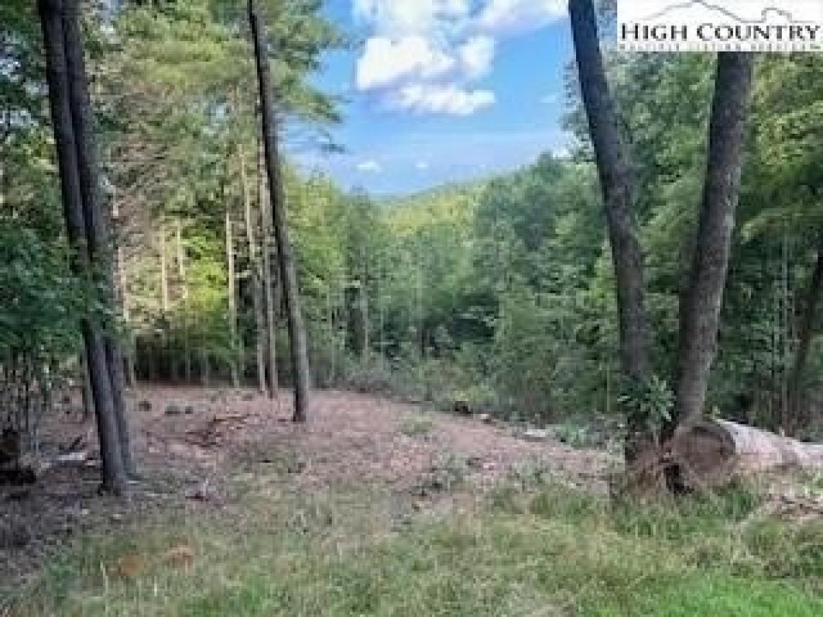 Picture of Residential Land For Sale in Deep Gap, North Carolina, United States