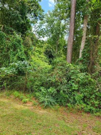 Residential Land For Sale in Carriere, Mississippi