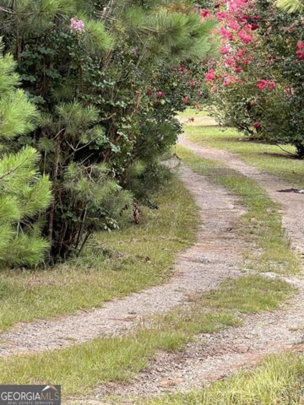 Picture of Residential Land For Sale in Griffin, Georgia, United States