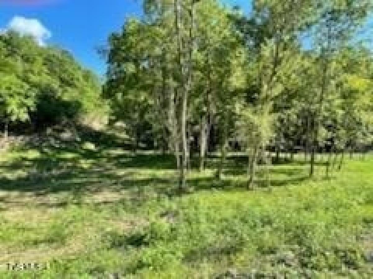 Picture of Residential Land For Sale in Eidson, Tennessee, United States