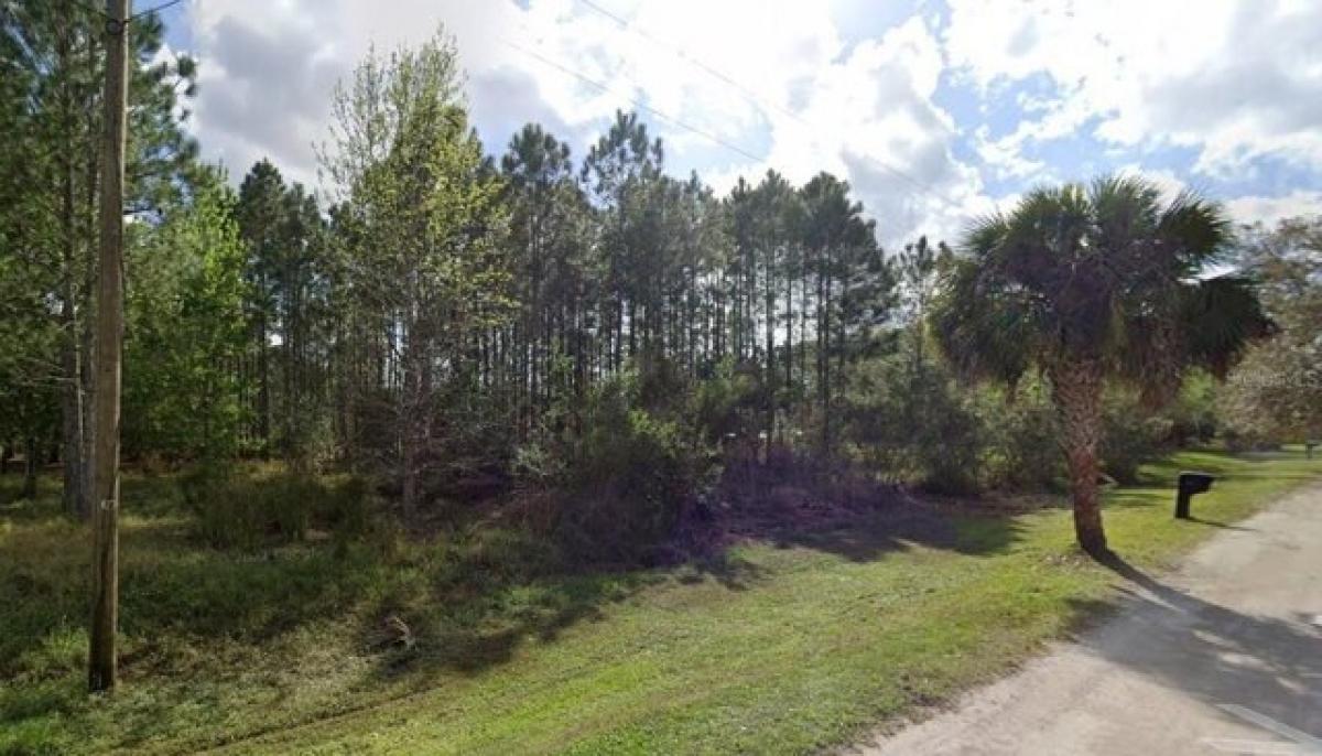 Picture of Residential Land For Sale in Wesley Chapel, Florida, United States