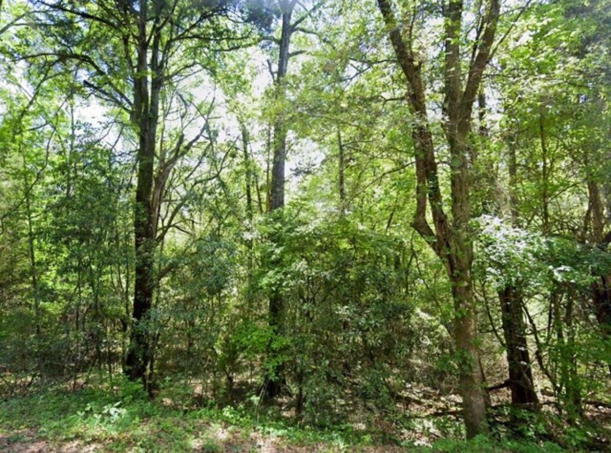 Picture of Residential Land For Sale in Dozier, Alabama, United States