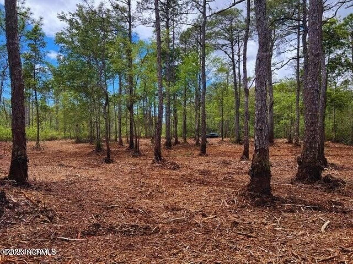 Picture of Residential Land For Sale in Southport, North Carolina, United States