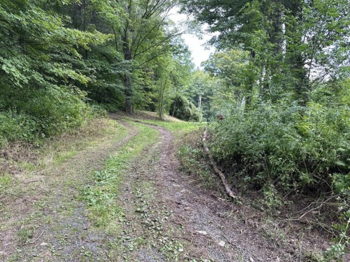 Picture of Residential Land For Sale in Washington, Connecticut, United States