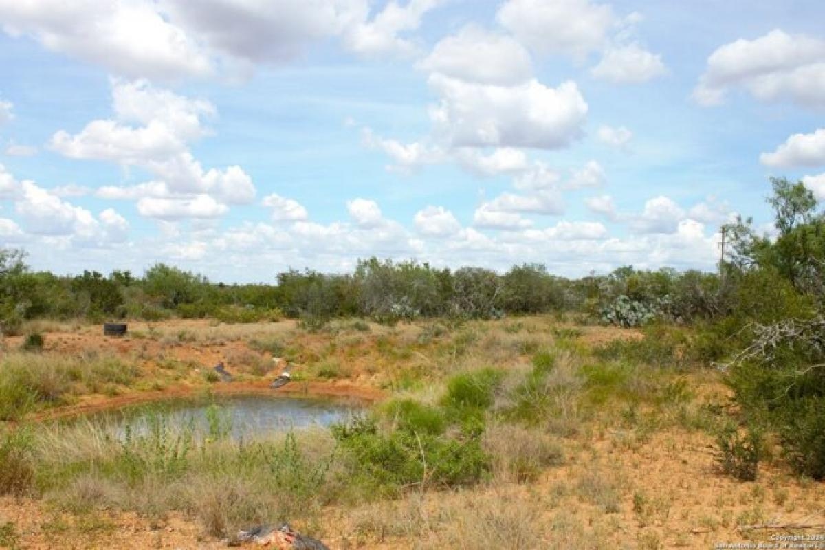 Picture of Residential Land For Sale in Charlotte, Texas, United States