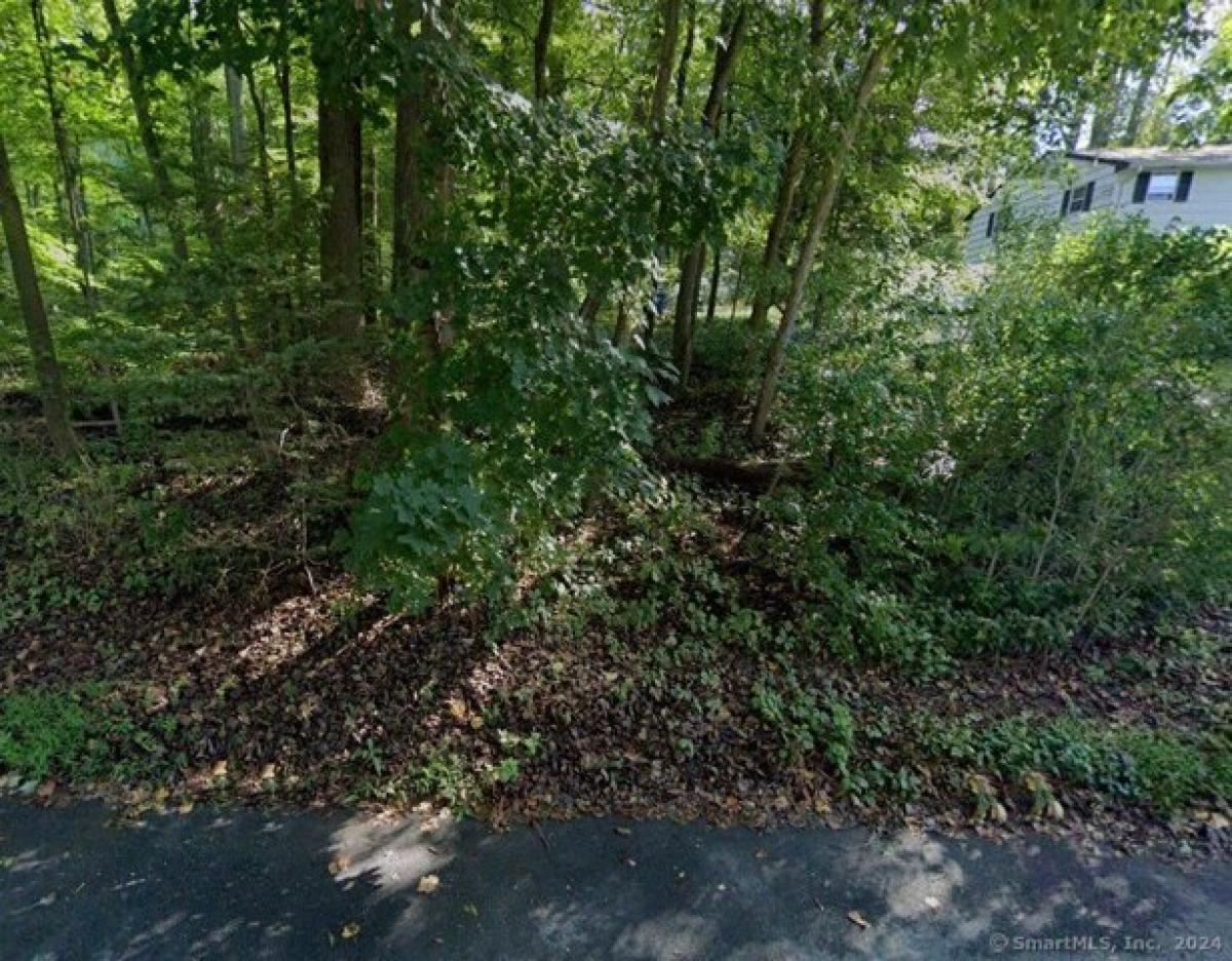 Picture of Residential Land For Sale in New Milford, Connecticut, United States