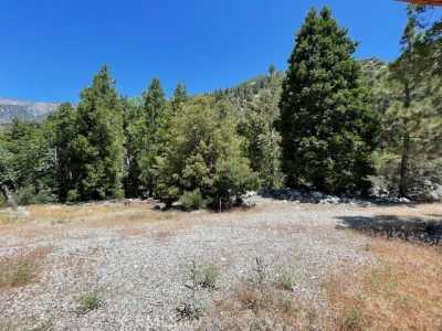 Home For Sale in Forest Falls, California