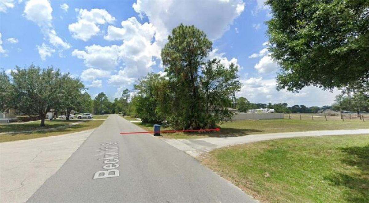 Picture of Residential Land For Sale in Deltona, Florida, United States