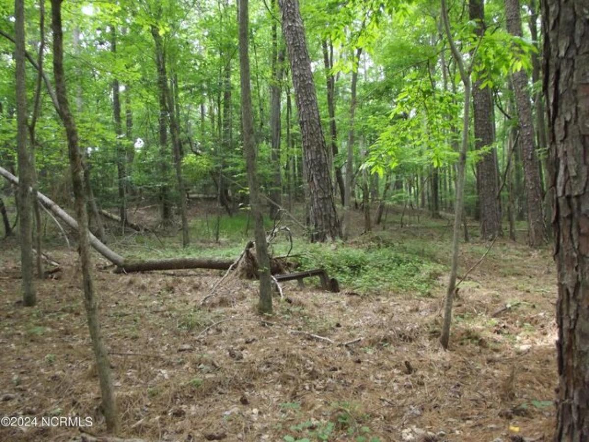 Picture of Residential Land For Sale in Carthage, North Carolina, United States