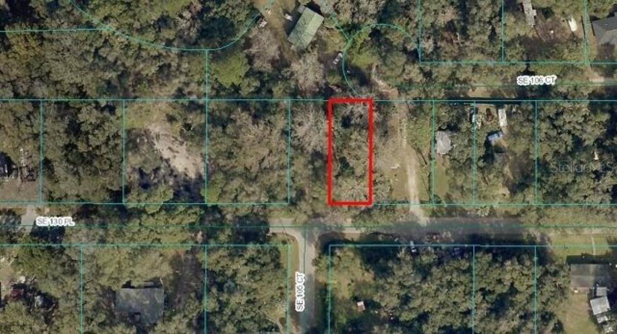 Picture of Residential Land For Sale in Ocklawaha, Florida, United States