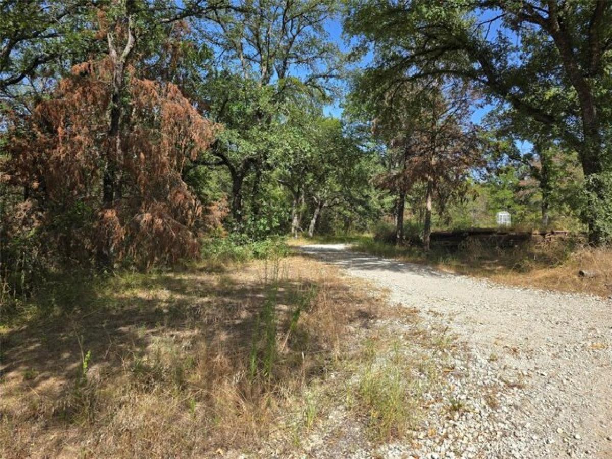 Picture of Residential Land For Sale in Reno, Texas, United States