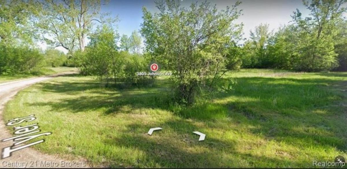 Picture of Residential Land For Sale in Carrollton, Michigan, United States