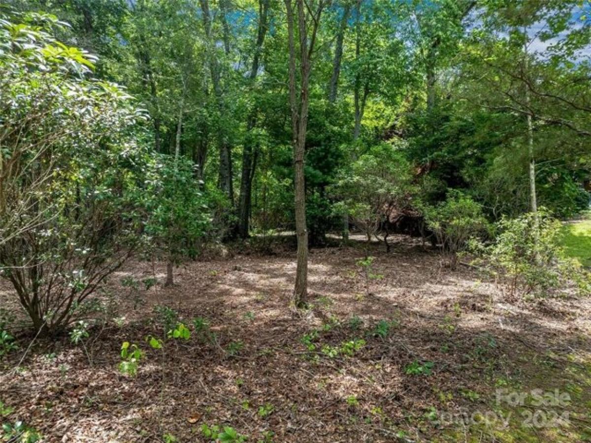 Picture of Residential Land For Sale in Arden, North Carolina, United States