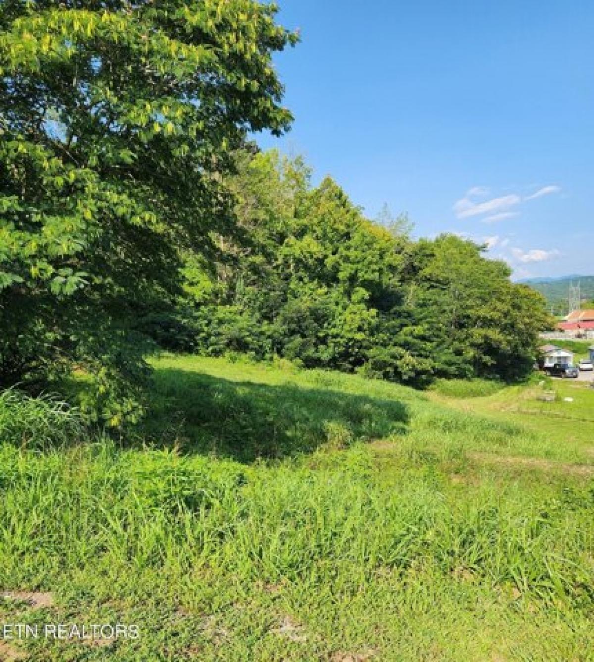 Picture of Residential Land For Sale in Tellico Plains, Tennessee, United States