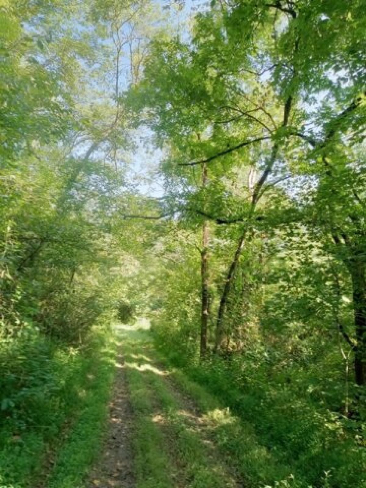 Picture of Residential Land For Sale in Pulaski, Tennessee, United States