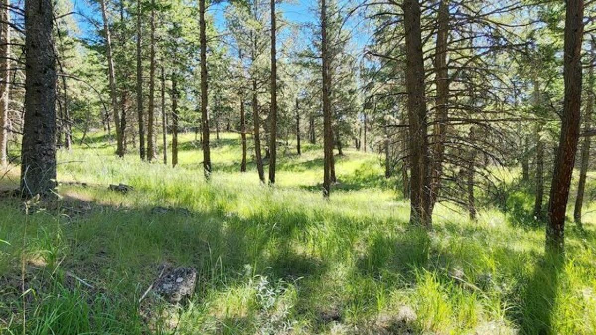 Picture of Residential Land For Sale in Bigfork, Montana, United States