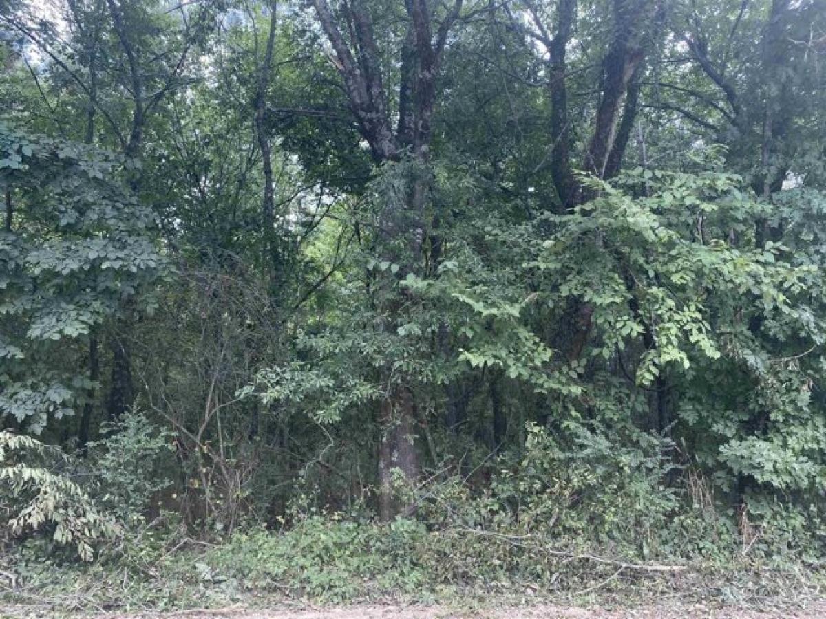 Picture of Residential Land For Sale in Gillham, Arkansas, United States