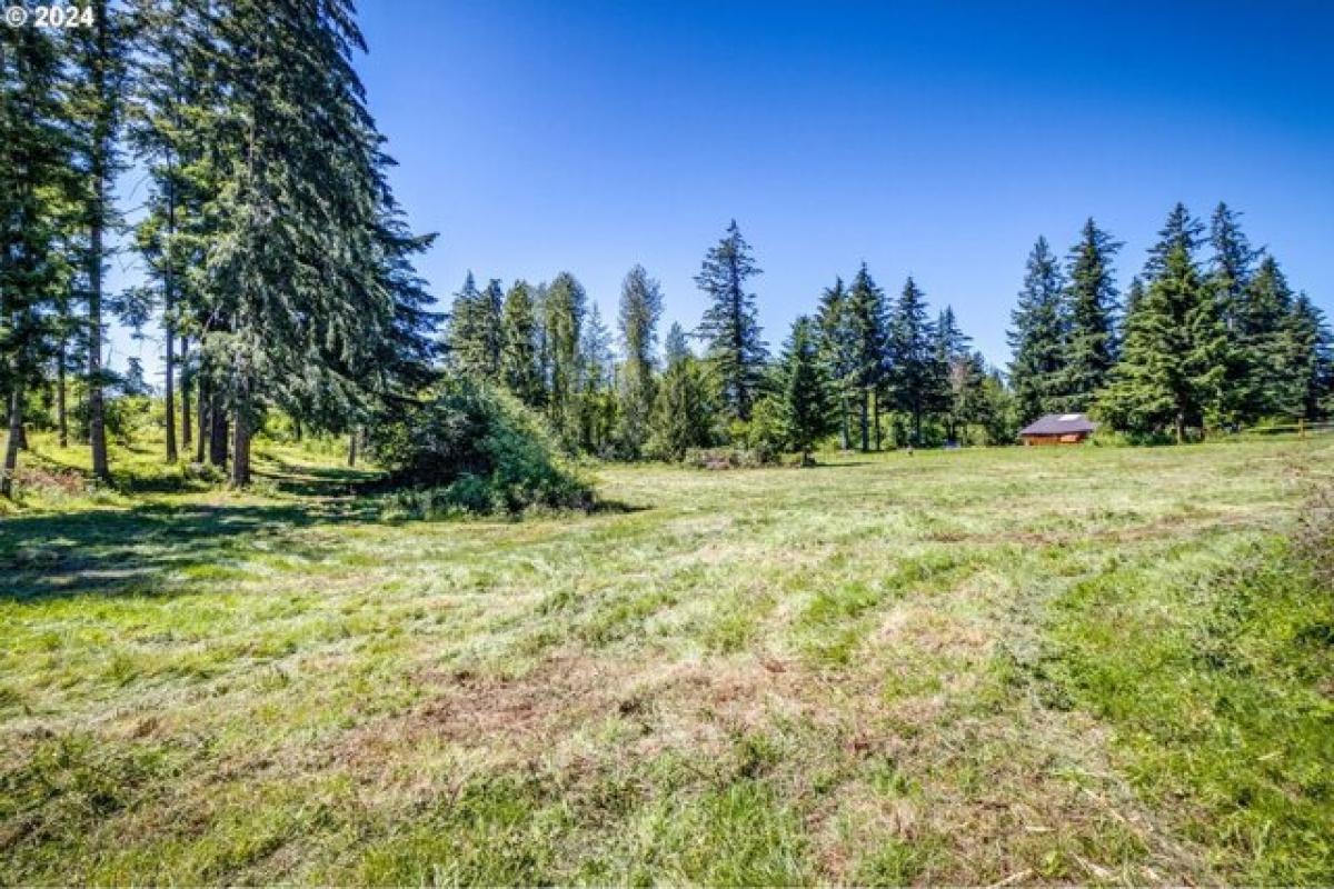 Picture of Home For Sale in Colton, Oregon, United States