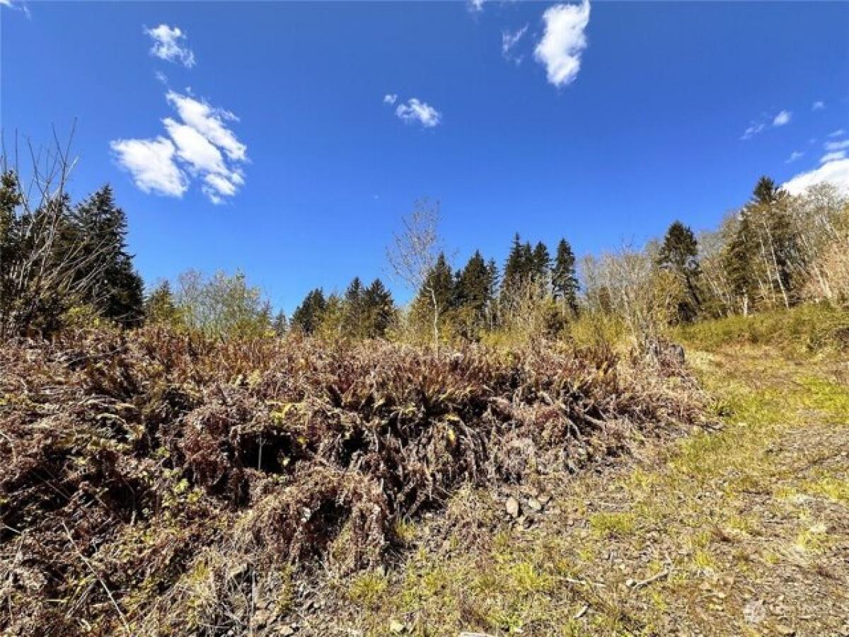 Picture of Residential Land For Sale in Raymond, Washington, United States