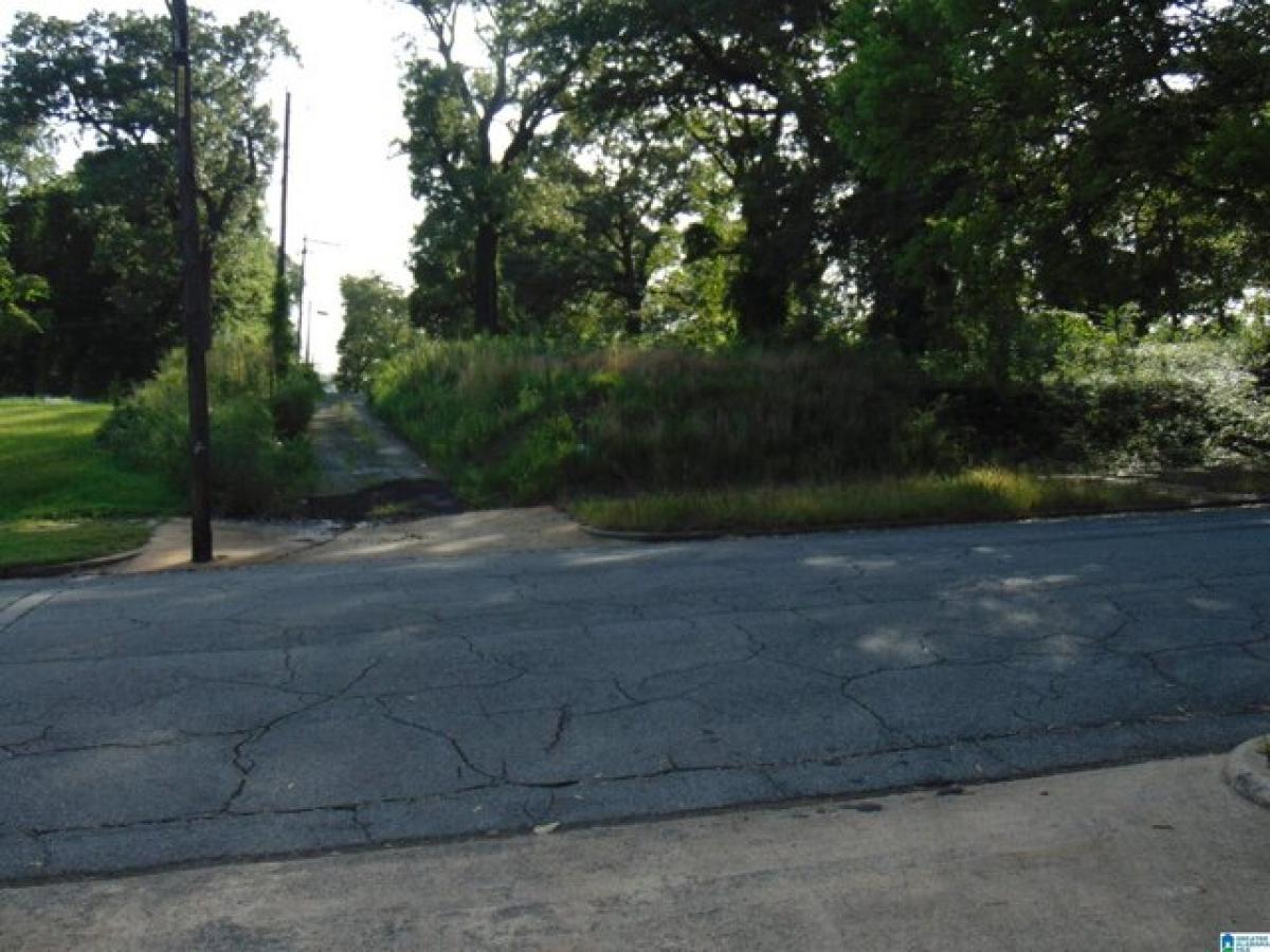 Picture of Residential Land For Sale in Birmingham, Alabama, United States